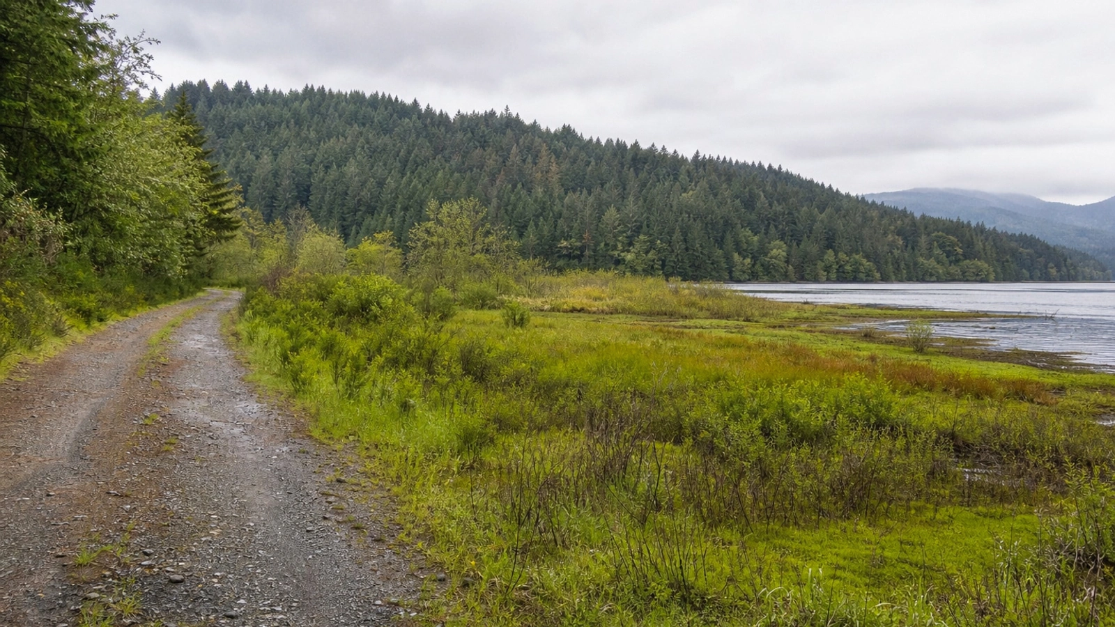Open Washington land access road near Aberdeen